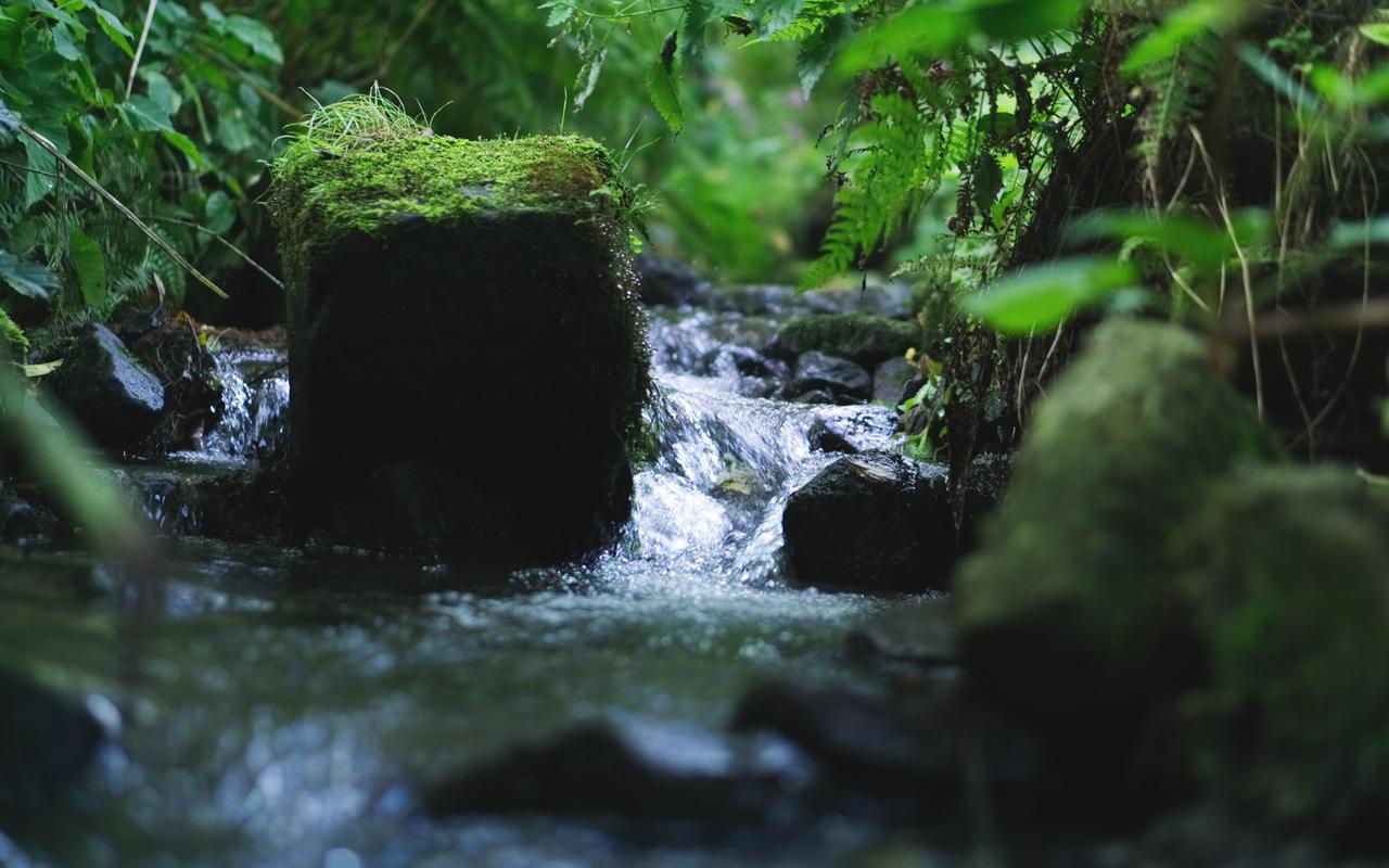 林间小溪风景图片桌面壁纸,风景壁纸,唯美,高清,清新,自然风光,小溪