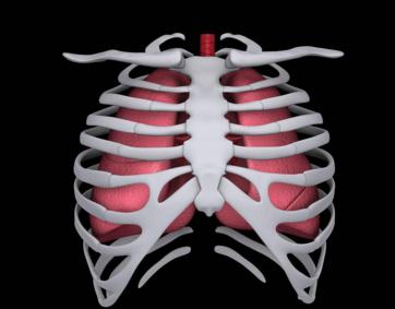 肋软骨炎的危害具体有哪些表现