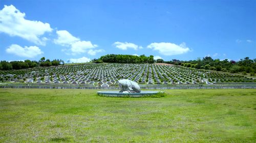 德泽园华侨公墓图片 - 墓团网