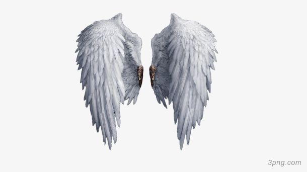 翅膀白色翅膀模板天使png素材透明免抠图片-其他元素