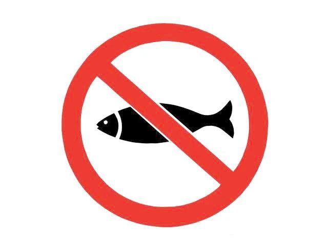 禁渔期内顶风作案临安两男子非法捕鱼被抓现行