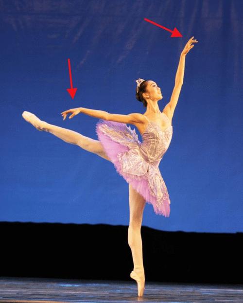 章泽天上热搜,因跳芭蕾照曝光,网友:没有一个真正的芭蕾舞动作