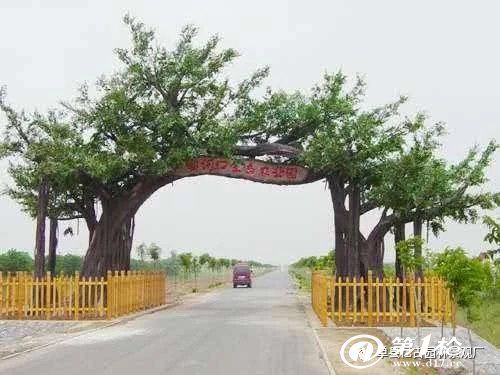 垂钓园大门_假树大门现场设计尺寸制作