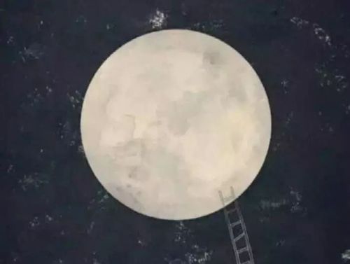 今夜的月亮借你表白关于月亮的一百个意象