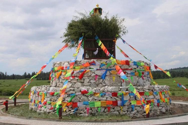 爱上内蒙古|天然大氧吧:白音敖包沙地云杉林