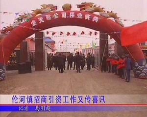 伦河镇全境属松嫩平原,东部为漫岗,西部沿河地带比较低洼.