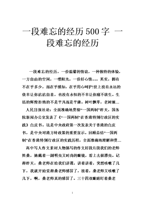 一段难忘的经历500字 一段难忘的经历.doc 38页