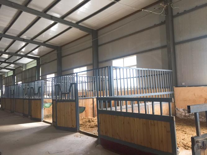 宽敞明亮的马房