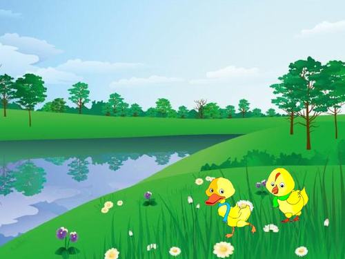 小鸡和小鸭子是好朋友,它们一起在河边玩耍