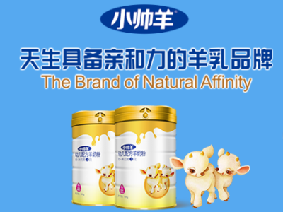 小帅羊羊奶粉品牌动态