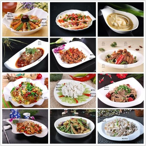 凉菜热菜盘创意盘子饭盘异姓盘不规则盘 酒店餐厅纯白