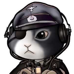 我是一名现役空军 想让大家帮忙找一个空军卡通类的头像