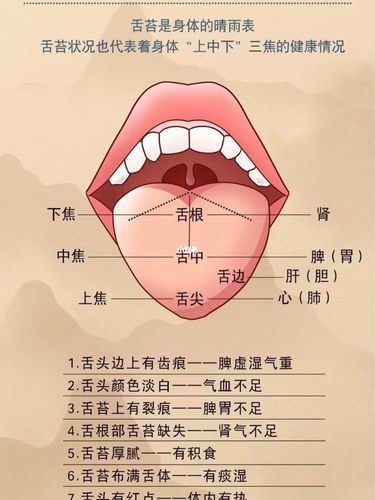 形态的变化来辅助诊断及鉴别的一个简单有效的方法舌头各部位对应身体