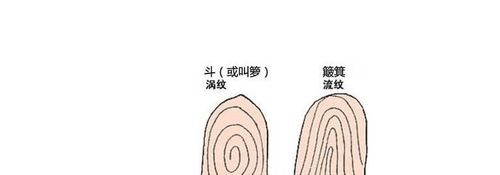 华新轩风水首页 女人面相 手相面相 手指不纤细的女人手相 >> 手相