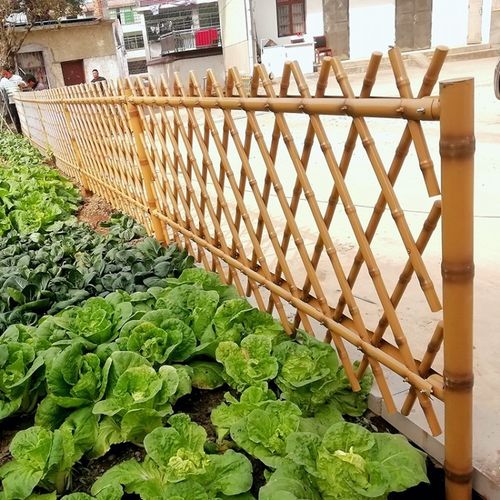 山西不锈钢仿竹护栏建设新农村花园菜园篱笆庭院栅栏围栏公园景区防护