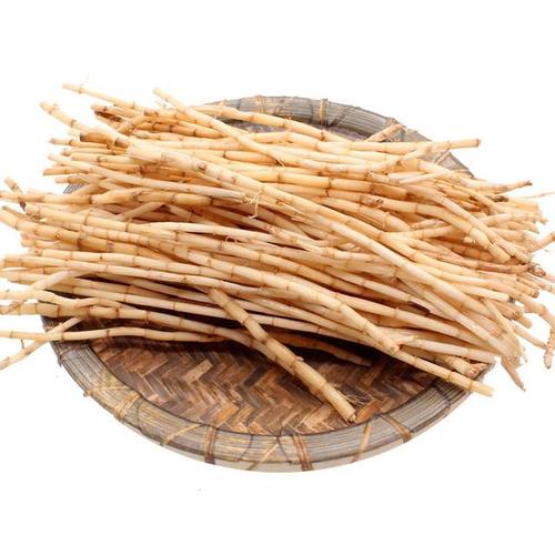 古今中药研究:芦根