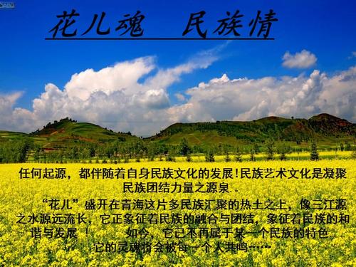 青海花儿简介.ppt