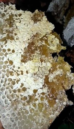 土蜂蜜 正宗深山纯天然农村娃土蜂巢蜜1斤零添加零污染