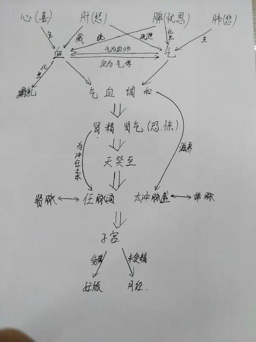 上回说到西医月经周期的激素变化和影响因素.