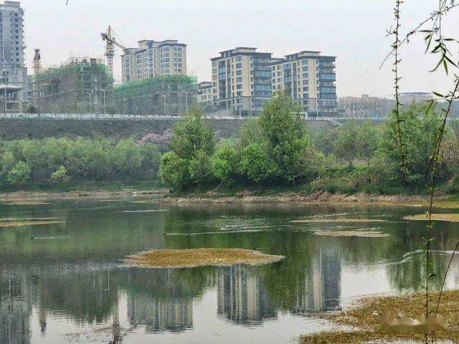 西安浐灞雁鸣湖(3号湖)