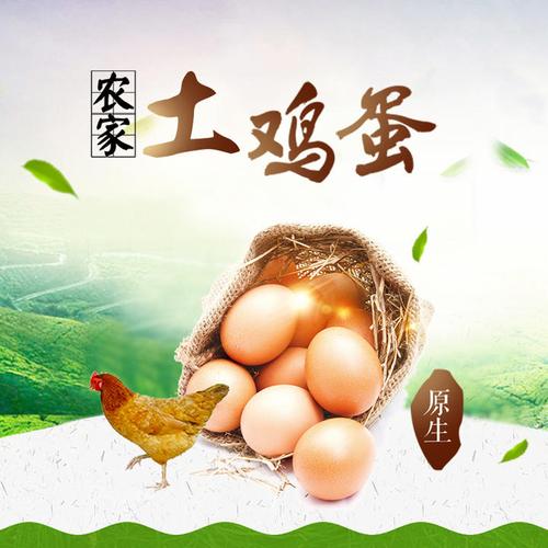 绿色有机农家土鸡蛋农产品介绍企业宣传品牌推广招商