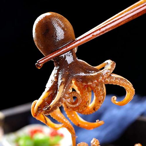 热销小八爪鱼 鲜活 即食