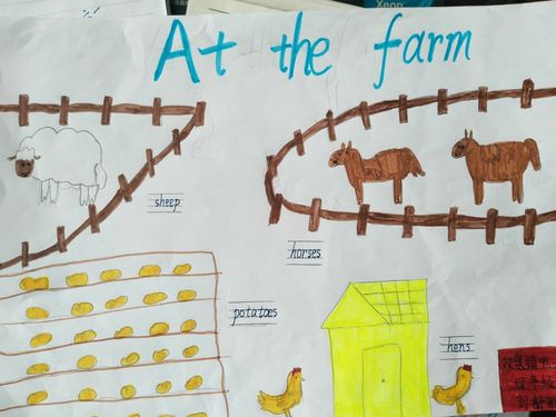 "快乐农场"―――双泉镇中心小学英语小报活动掠影