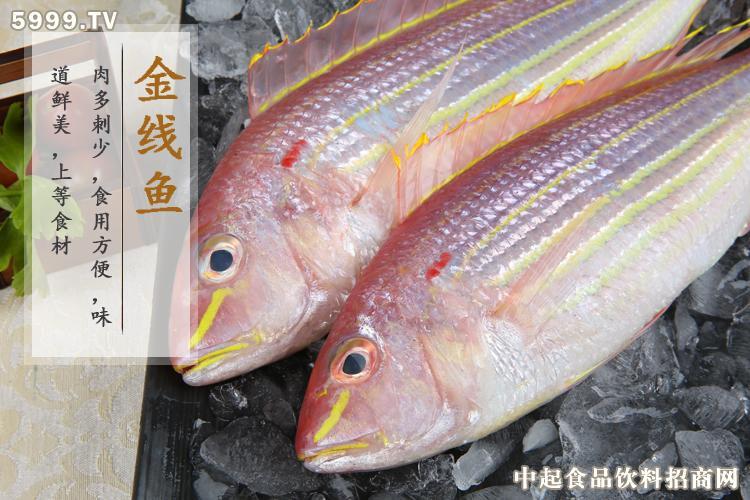 金线鱼
