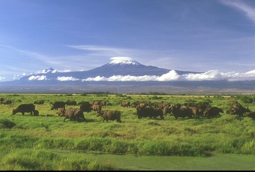 全球面积最大的高原