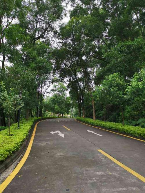 小瀛洲度假村(番禺疗养院)-"座落在大夫山上,拥有纯天然氧吧,里面配套