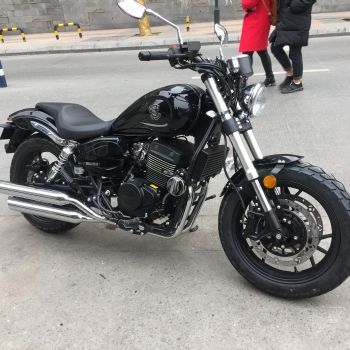 奔达250-2双缸太子车