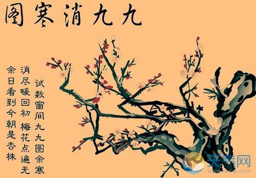 小寒节气习俗 画图数九消寒图