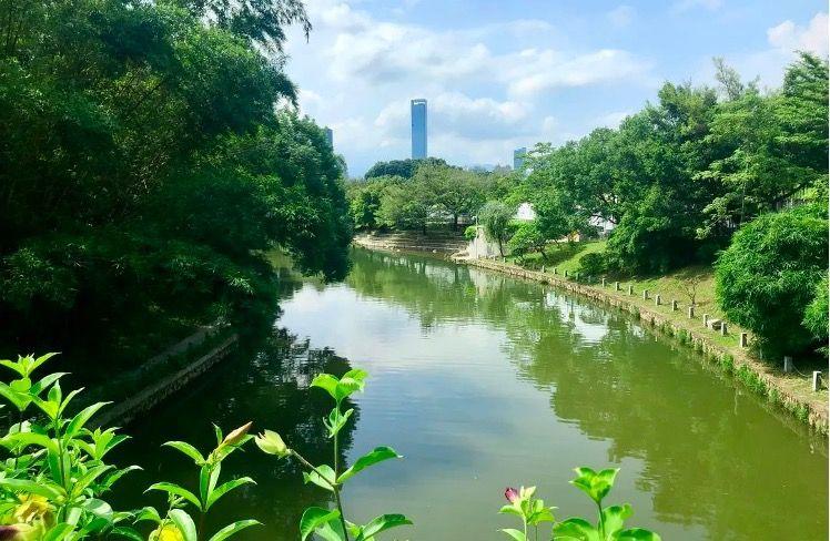 深圳笔架山公园"趣味植物迷你花园"建成,等你来!