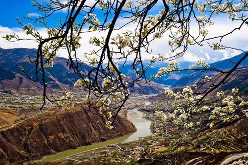 醉美藏寨金川梨花2021年32530日户外天堂四姑娘山丹巴藏寨金川梨花