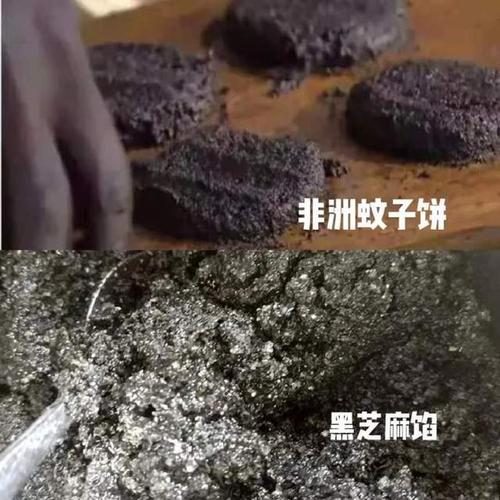 舌尖上的非洲:原生态的"蚊子饼",咬一口就是几十万只蚊子!