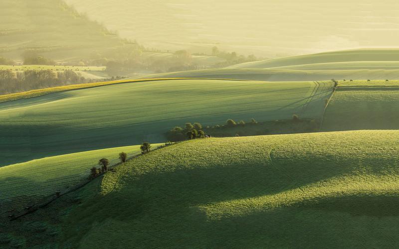 草原,广袤,无垠,阳光,斜阳漫洒,,一望无际,树木,阳光正好草原壁纸图片