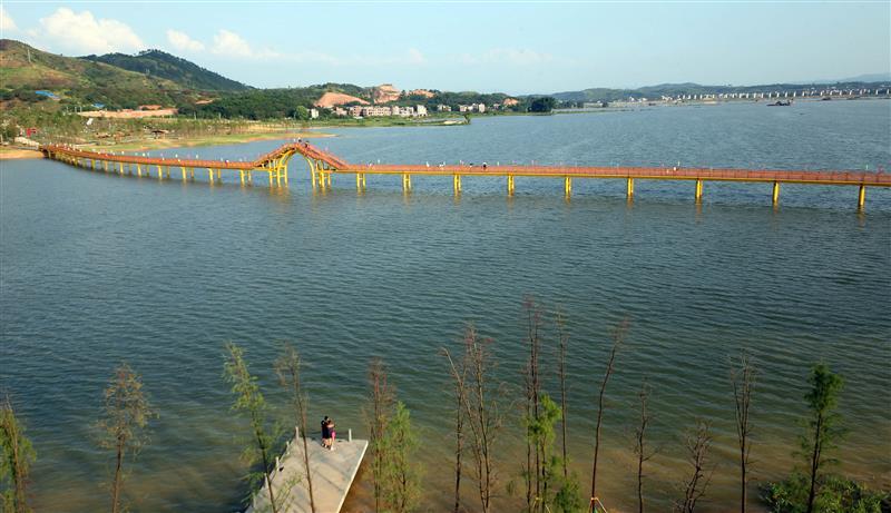 上一页 下一页 作品名称: 苍海湖  作品描述: 广西梧州市新建广西园