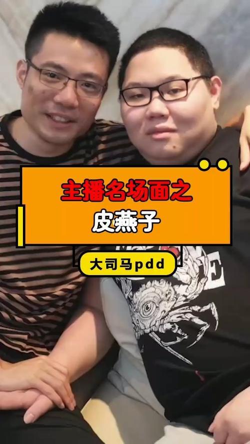 大司马的皮燕子什么梗