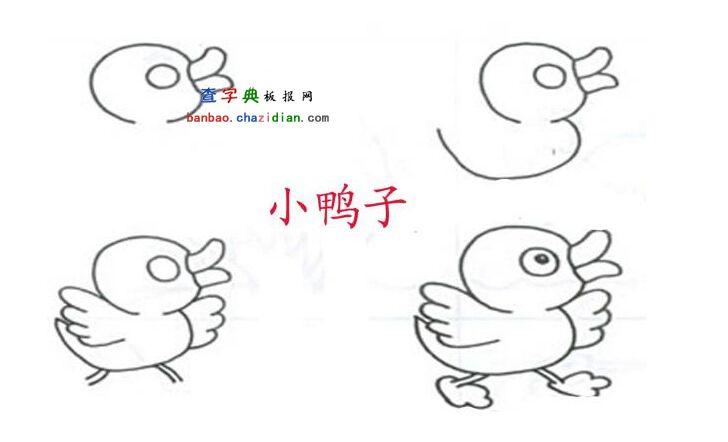小鸭子简笔画教程