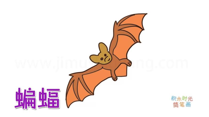 动物简笔画大全,画非常可爱的卡通蝙蝠简笔画