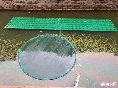 [生态浮床批发]浮床 人工浮岛,浮床,带苗施工价格45元/件 - 惠农网