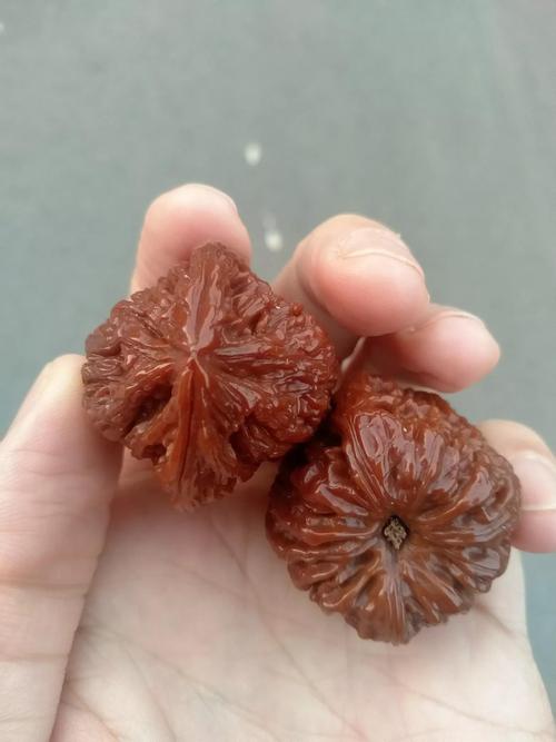 手盘一年的满天星,晶莹剔透,刚刚包浆的水龙纹,威武霸气