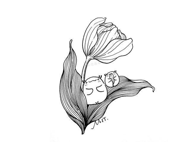 图文手绘教程一步一步教你画郁金香新手也不怕学不会