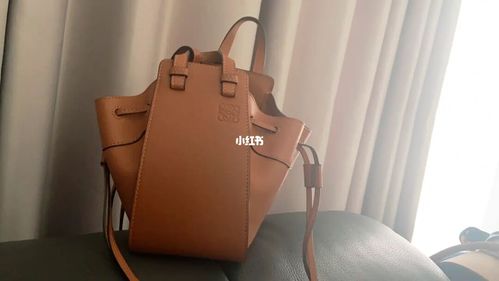 loewe吊床包_罗意威怎么样_吊床_基金_loewe_时尚_箱包_单肩包
