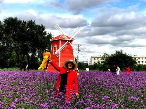 天南地北众姊妹之黑河花海篇