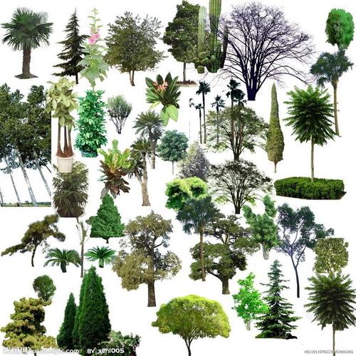 各种树木分层素材 绿树 psd分层素材 树素材 各种树木