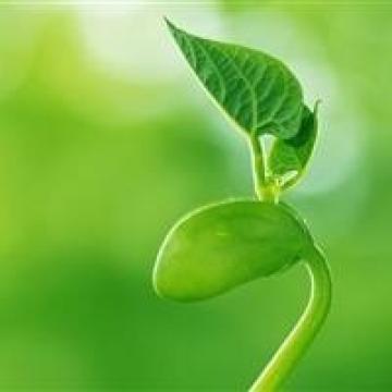 一切都赋予了生命力,风景头像图片-回车桌面