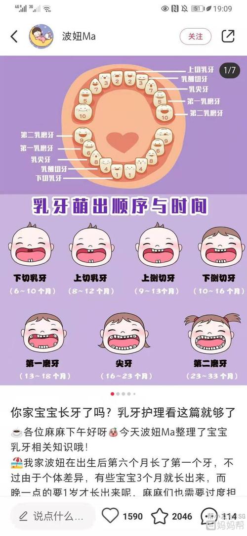 宝宝乳牙长出顺序及时间