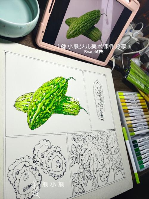 分格蔬菜之苦瓜 小熊线描专栏(三)_苦瓜_蔬菜_线描_水彩笔_创意美术