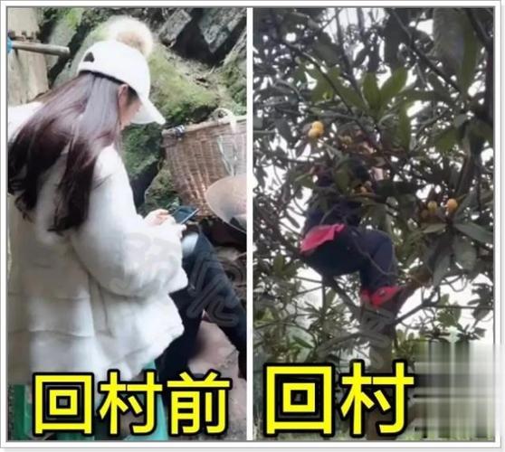 春节"原形毕露"现场,回村前vs回村后的极致反差:狗子你变了